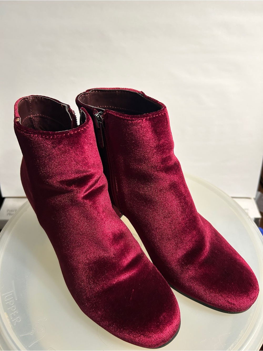 Circus by Sam Edelman Velvet Burgundy Ankle Booties